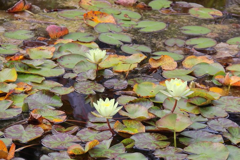 [ pilt: 066X  .JPG ]